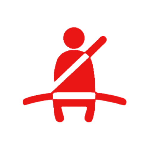 Red seatbelt